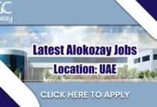 alokozay jobs