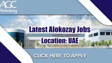 alokozay jobs