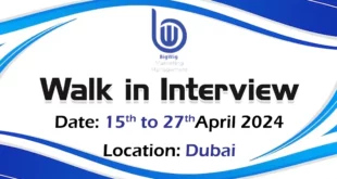 Bigwig Walk in Interview in Dubai.