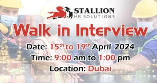 Stallion HR Solutions Walk in Interview in Dubai