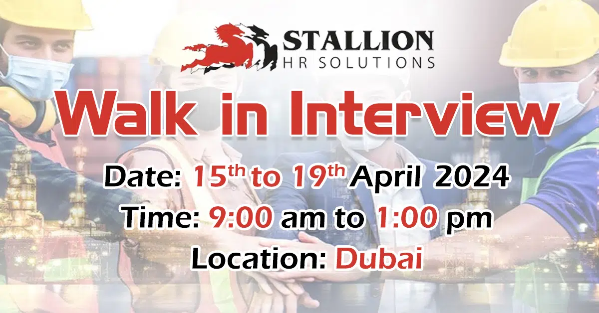 Stallion HR Solutions Walk in Interview in Dubai